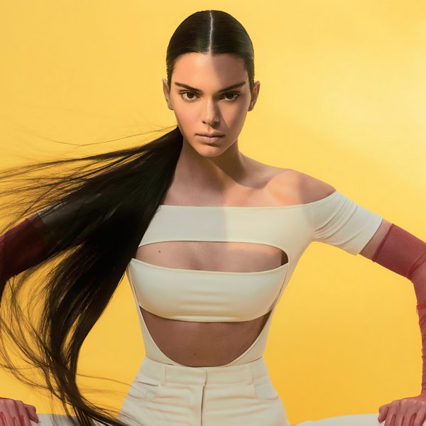 Fashion Portrait jigsaw puzzle