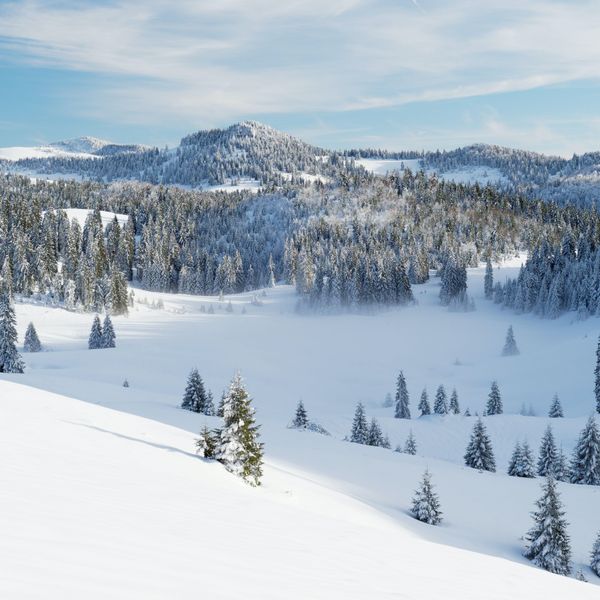 Winter Landscape jigsaw puzzle